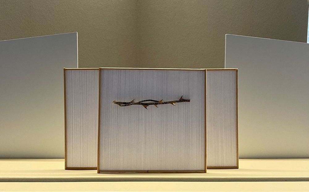 Installation 'Fadenkreuz' in der Christkönig-Kirche Krumpendorf / Brandy Brandstätter Kärnten: Aschermittwoch und Fastenzeit im Zeichen der Kunst