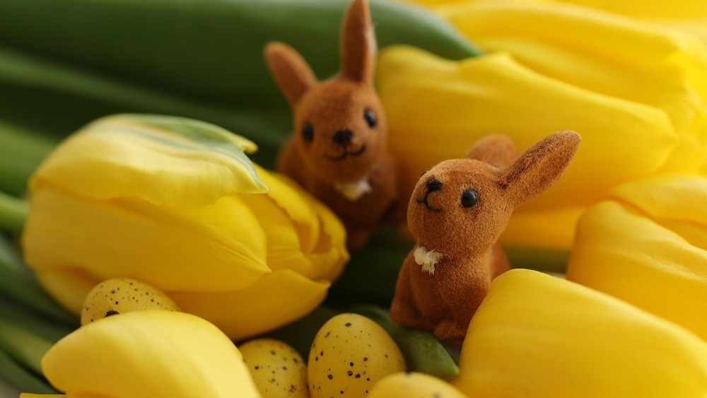 Hasen und bunte Eier dürfen beim Osterfest nicht fehlen / Marjon Besteman/Pixabay Vielfältiges Programm auf kirchlichen Ostermärkten am Wochenende