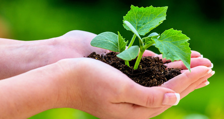 Kirchen schreiben Umweltpreis für Mobilität und Biodiversität aus