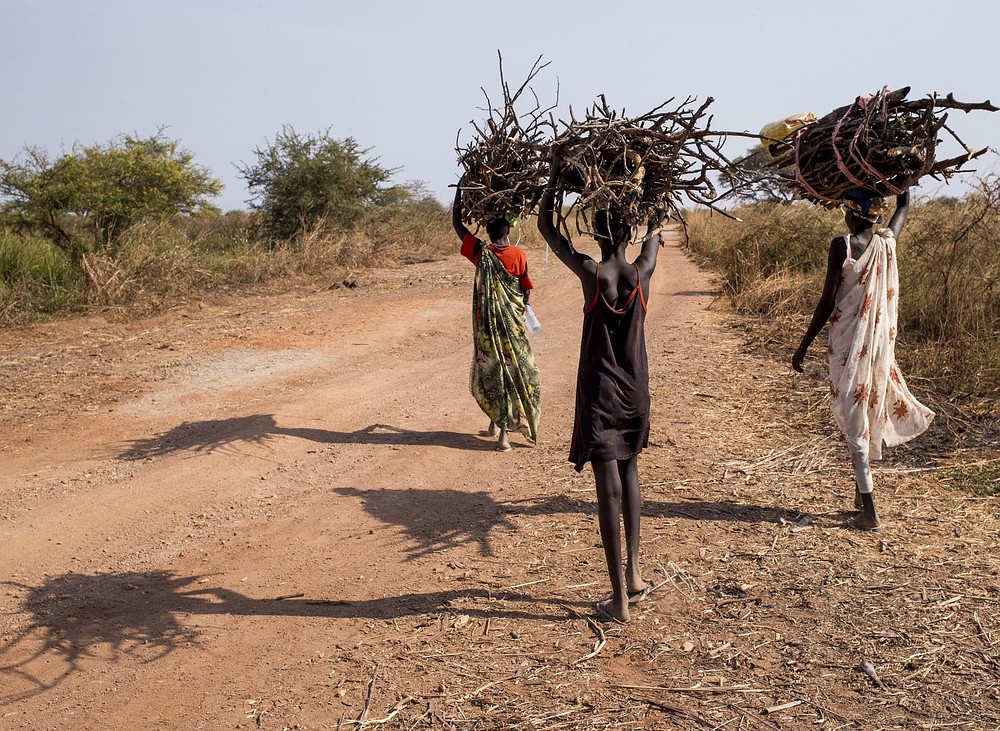 Menschen in Südsudan beim Holzsammeln / UN Photo/JC McIlwaine