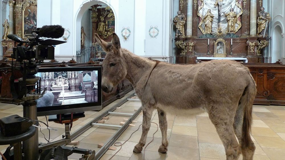 Ausschnitt der Videoinstallation von Nicole Six und Paul Petritsch in der Linzer Ursulinenkirche / Bildrecht Wien Ausschnitt der Videoinstallation von Nicole Six und Paul Petritsch in der Linzer Ursulinenkirche